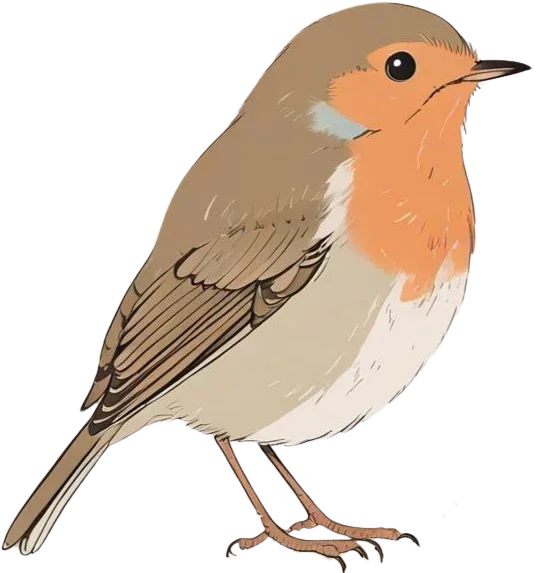 Robin.png