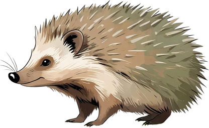 Hedgehog.png