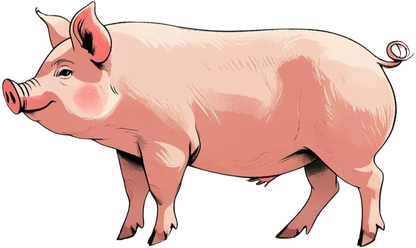Pig.png