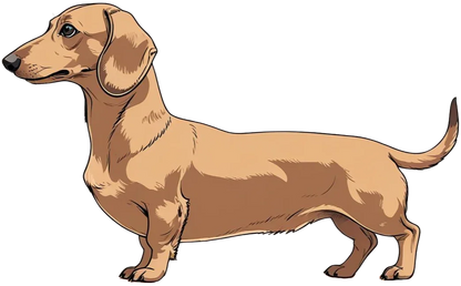 Sausage dog.png